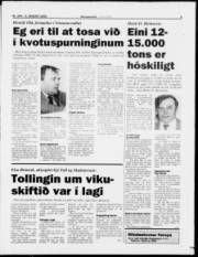 Síða 5