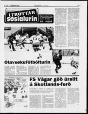 Síða 15