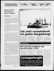 Síða 2