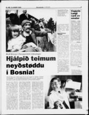 Síða 3