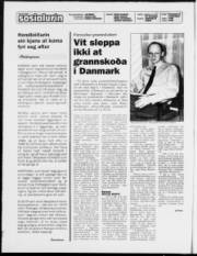 Síða 2