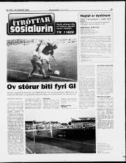 Síða 11