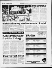 Síða 13