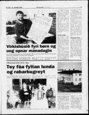 Síða 9