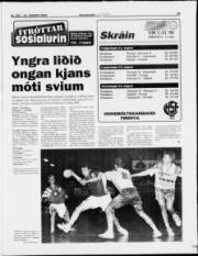 Síða 19