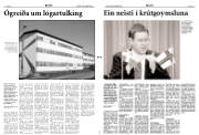 Síða 3