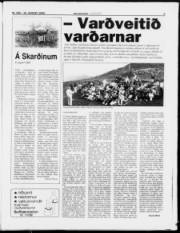 Síða 9