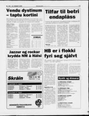 Síða 13