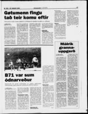Síða 17