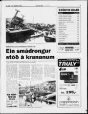 Síða 3