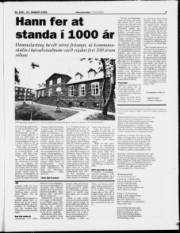 Síða 9