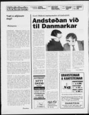 Síða 2
