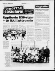 Síða 15