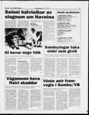 Síða 17