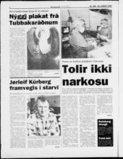 Síða 4