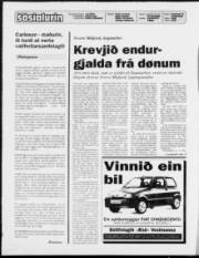 Síða 2
