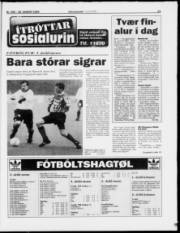 Síða 13