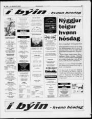 Síða 17
