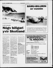 Síða 7