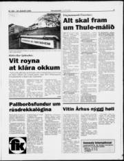 Síða 9