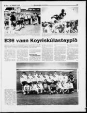 Síða 21