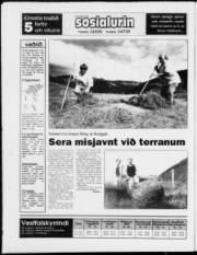 Síða 24