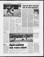 Síða 15