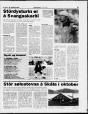 Síða 17