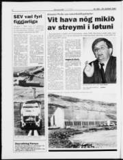 Síða 6