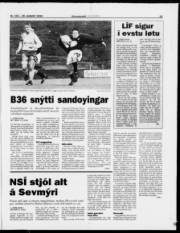 Síða 15
