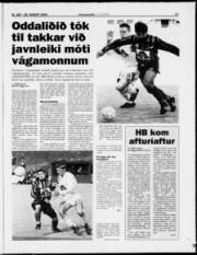 Síða 17