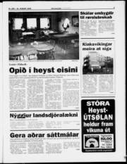 Síða 5