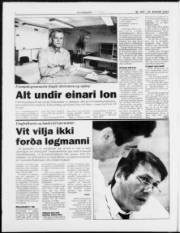 Síða 6