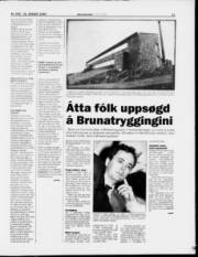Síða 11