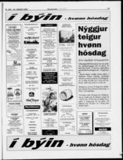 Síða 13
