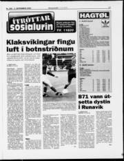 Síða 17