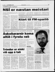 Síða 19