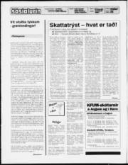 Síða 2