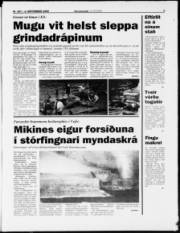 Síða 3