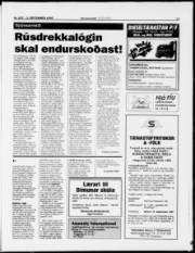 Síða 11
