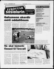 Síða 13