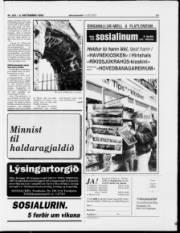Síða 17