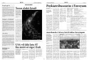 Síða 8