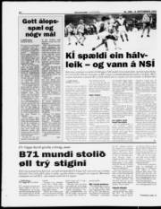 Síða 14