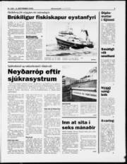 Síða 3