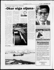 Síða 6