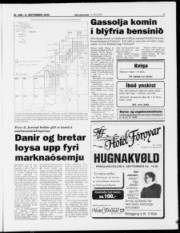 Síða 7