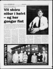 Síða 3
