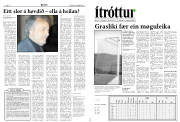 Síða 13