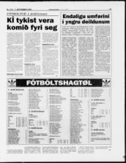 Síða 11